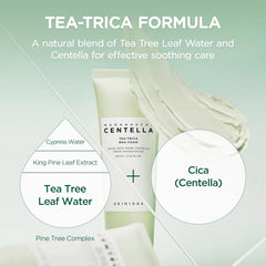 SKIN1004 Tea-Trica BHA Foam, Makeup Remover with Centella Asiatica & Tea Tree, Korean Face Cleanser for Oil & Sebum Balance, Cleansing Foam for Clearing Impurities, Korean Skin Care, 4.22 fl.oz /125ml