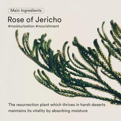 Abib Jericho Rose Bifida Serum Firming Drop 1.69 fl.oz. | Collagen, Peptide, Bakuchiol | Deep Hydration Serum for Dry Skin, Barrier Strength & Skin Bounce | Korean Skincare